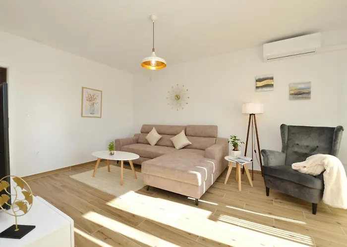 Lola * Zadar