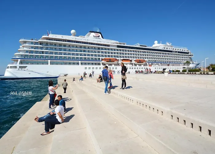 Lola * Zadar