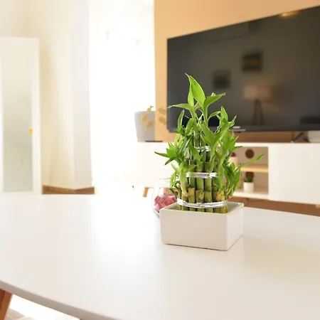 Lola Apartament